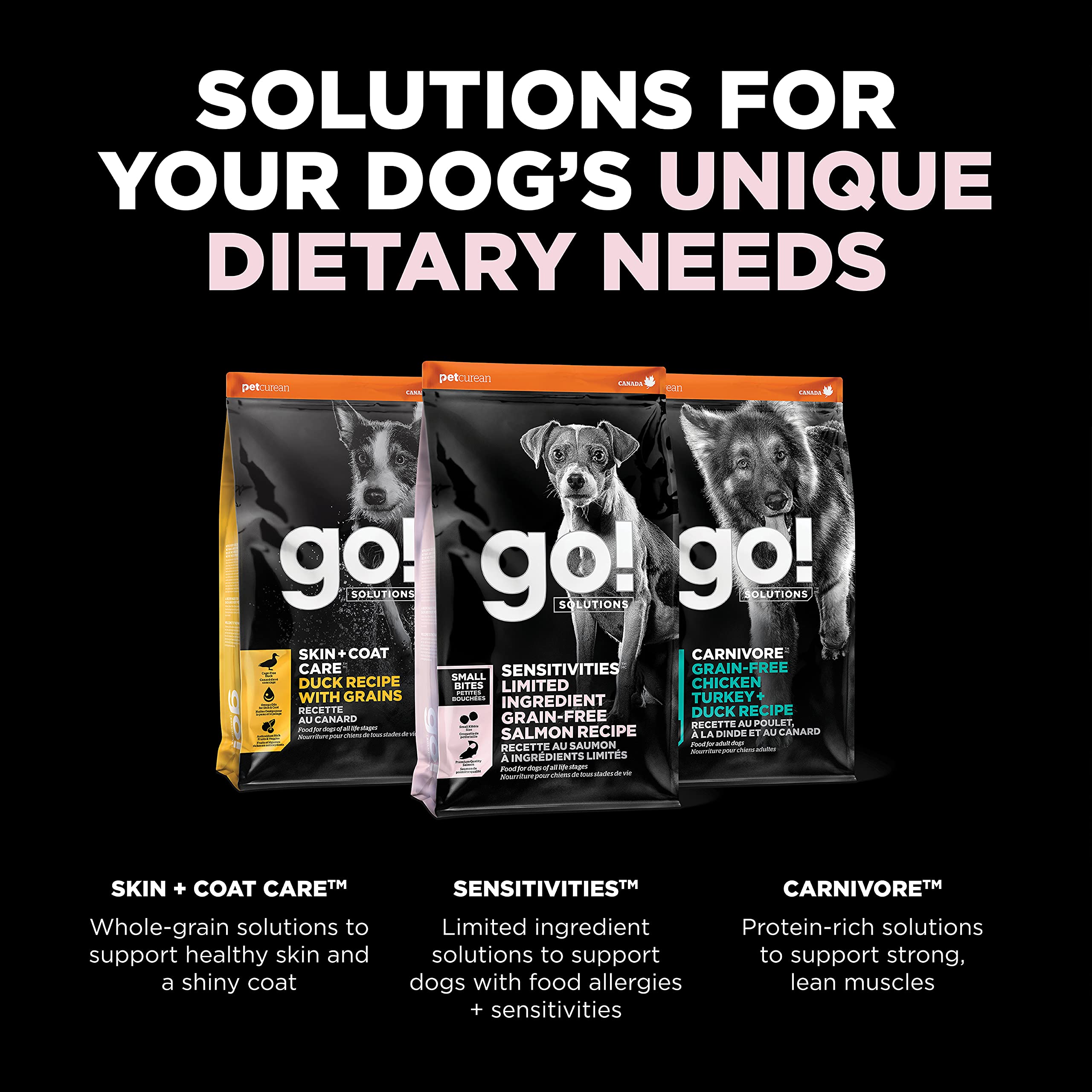 Go! Solutions Sensitivities salmon kibble feeding scene digestible nutrition.