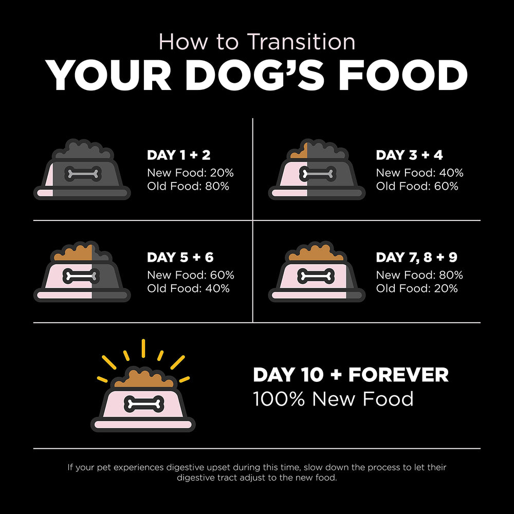 Go! Solutions Sensitivities salmon kibble bowl with greens, balanced meal for small dogs.