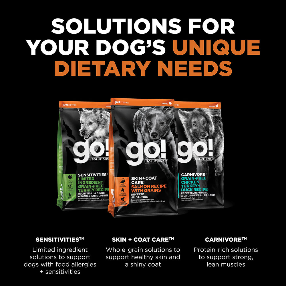 Go Solutions Skin Coat probiotics and prebiotic fibers image supports digestion