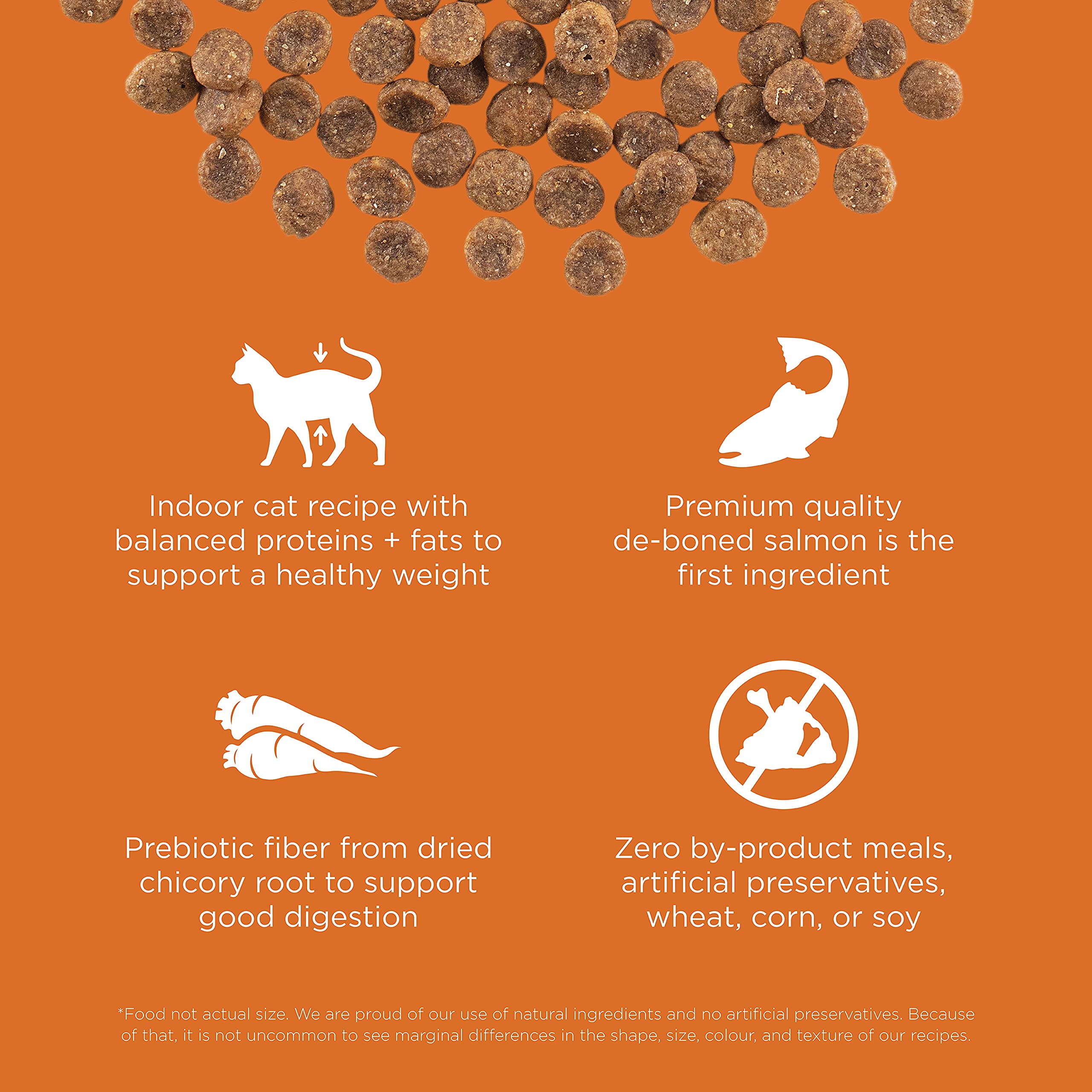 Go! Solutions Skin Coat Care Salmon chunks image with real fish as first ingredient