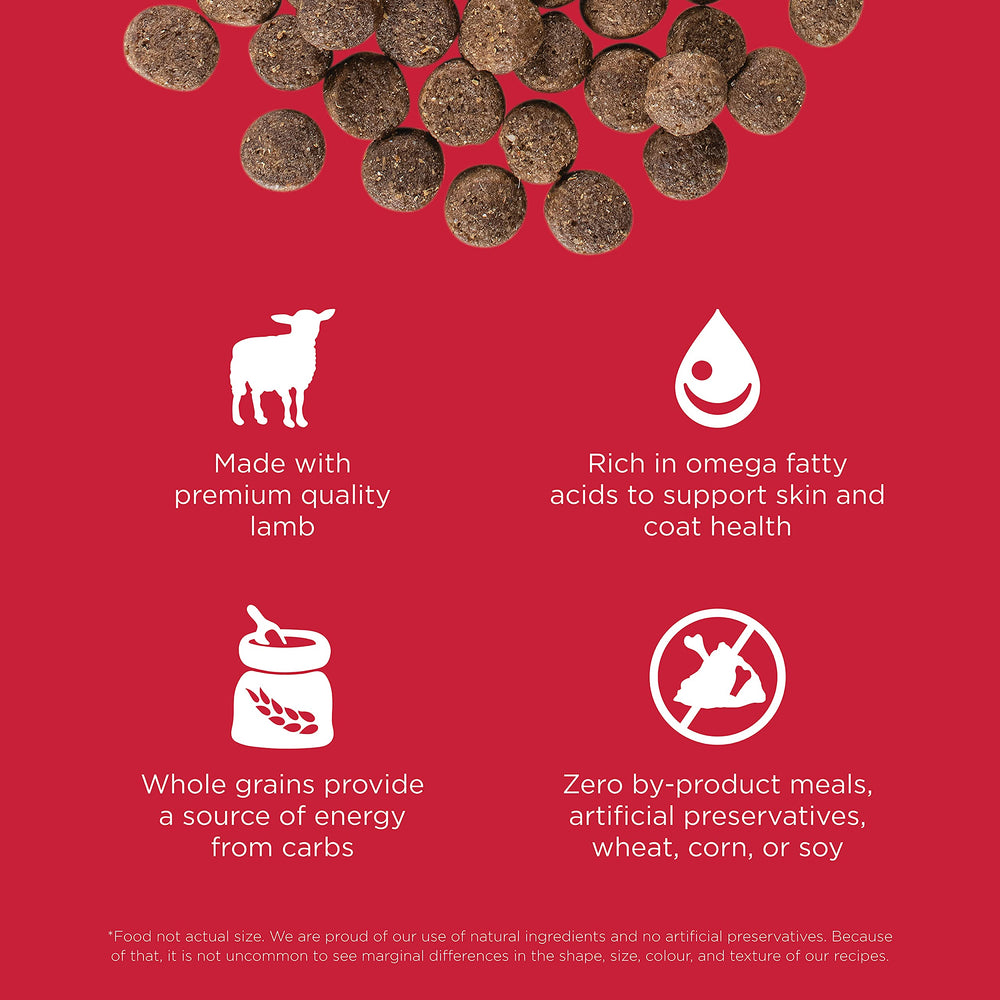 Go! Solutions Skin Coat Lamb ingredients with lamb meat and grains emphasis for complete nutrition