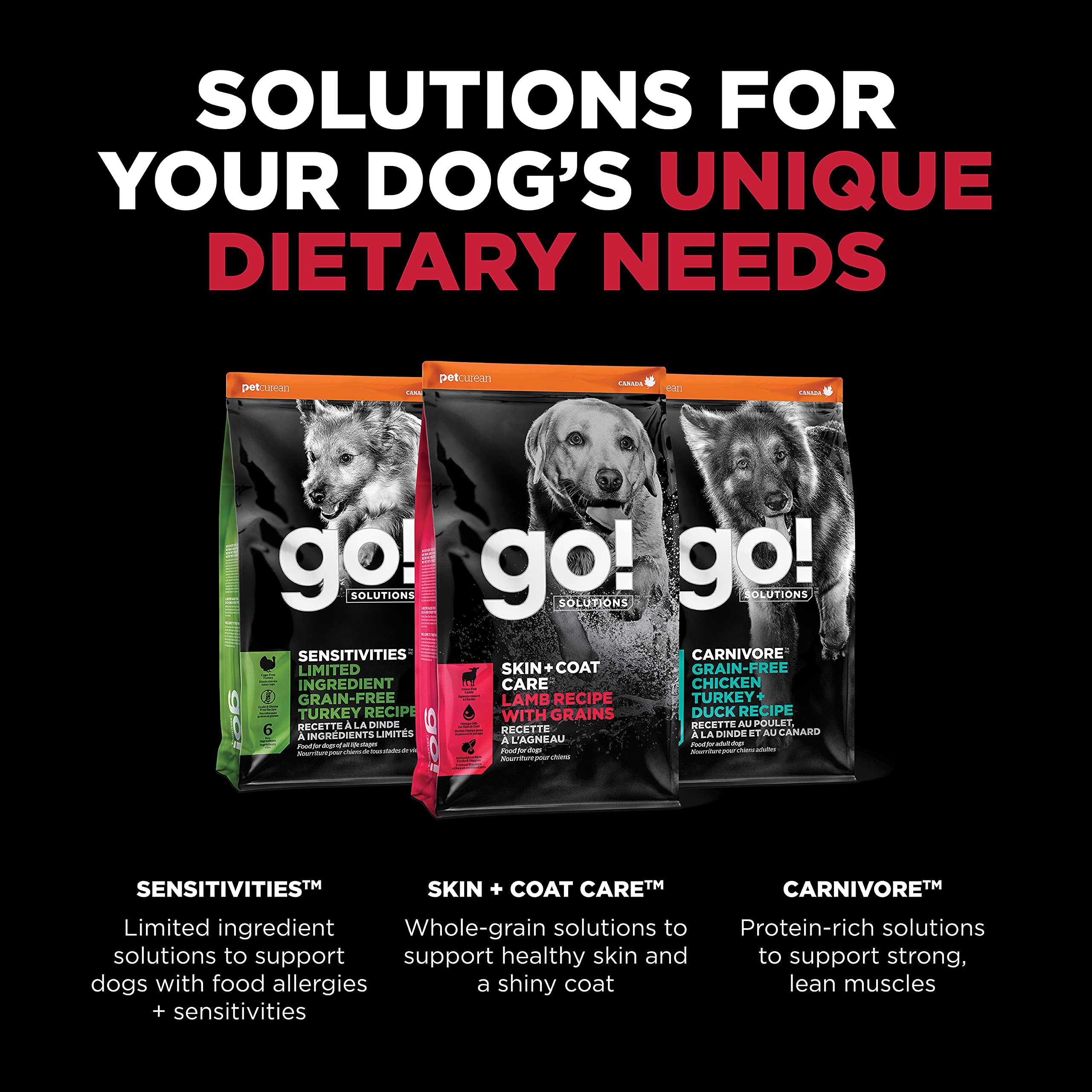 Go! Solutions Skin Coat Lamb dog food serving for puppies