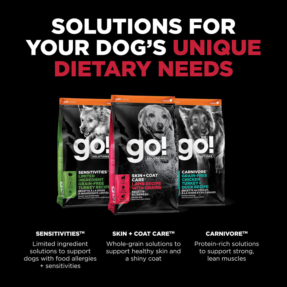 Go! Solutions Skin Coat Lamb dog food serving for puppies