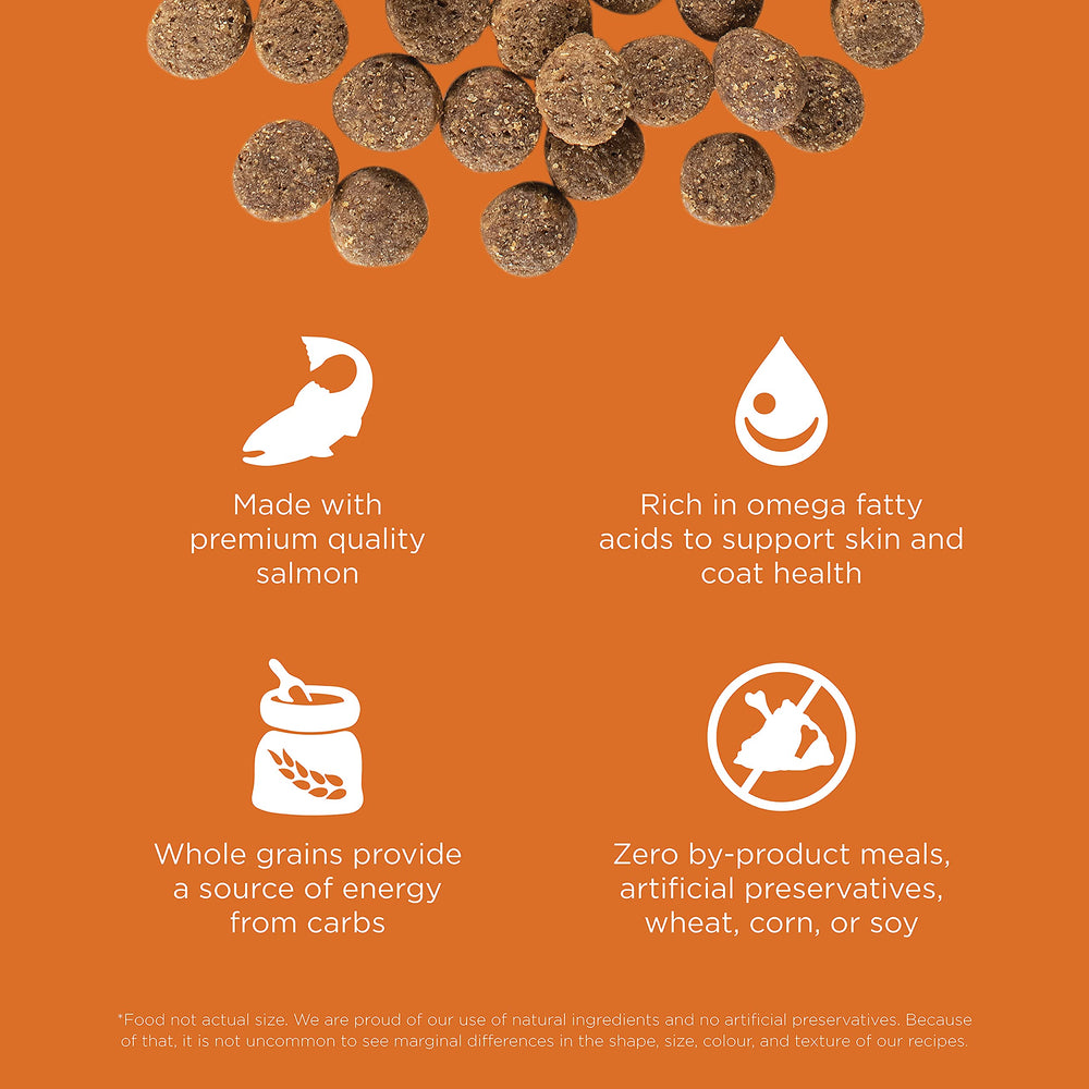 Go Solutions Skin Coat salmon ingredients image emphasizes omega-rich nutrition