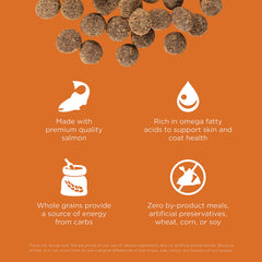 Go Solutions Skin Coat salmon ingredients image emphasizes omega-rich nutrition
