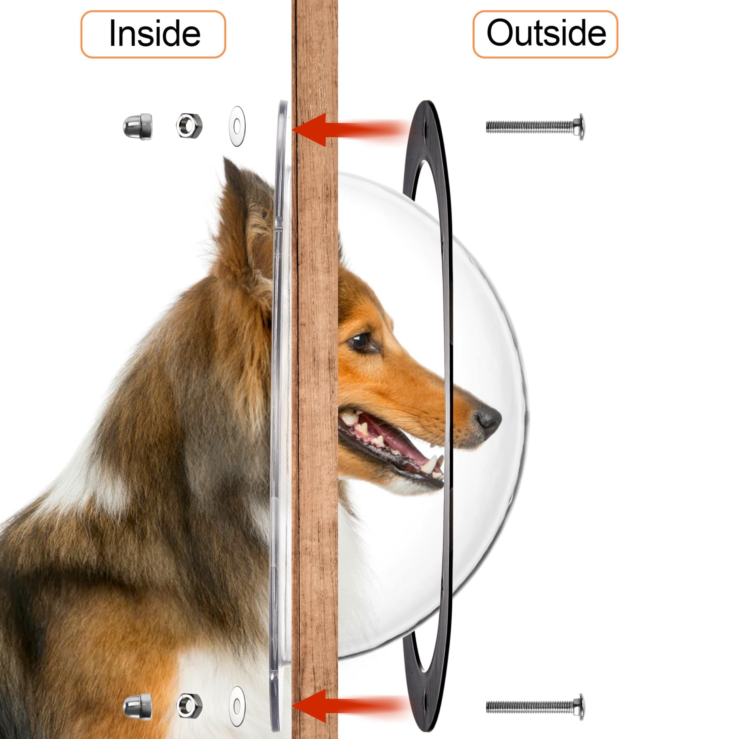 Goaste pet peek window highlights surroundings, promoting safe outdoor awareness