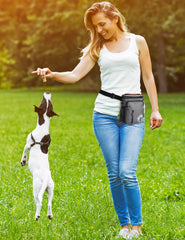 Gobeigo treat pouch worn on belt clip for hands-free training