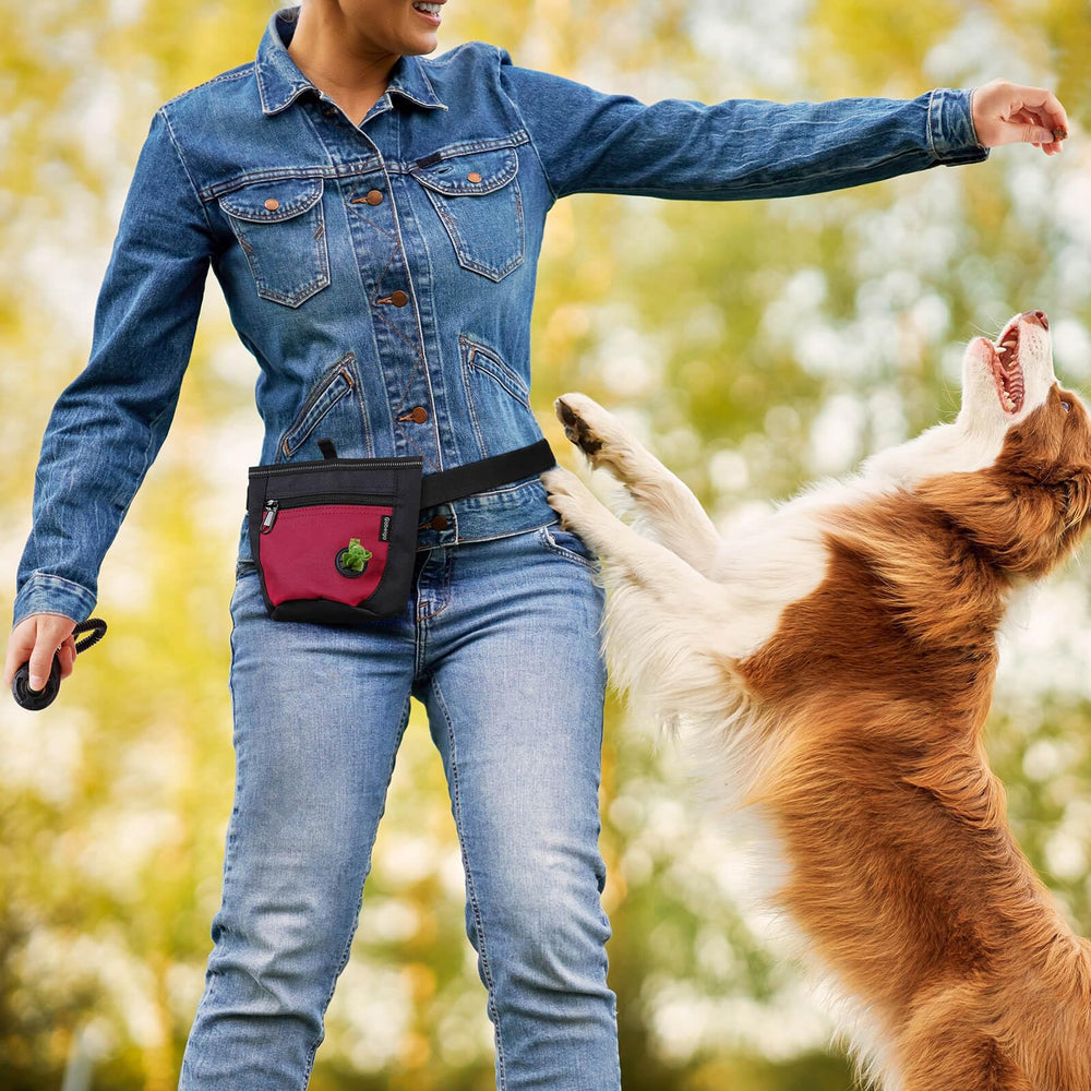 Gobeigo front pocket holds poop bags for quick cleanup.