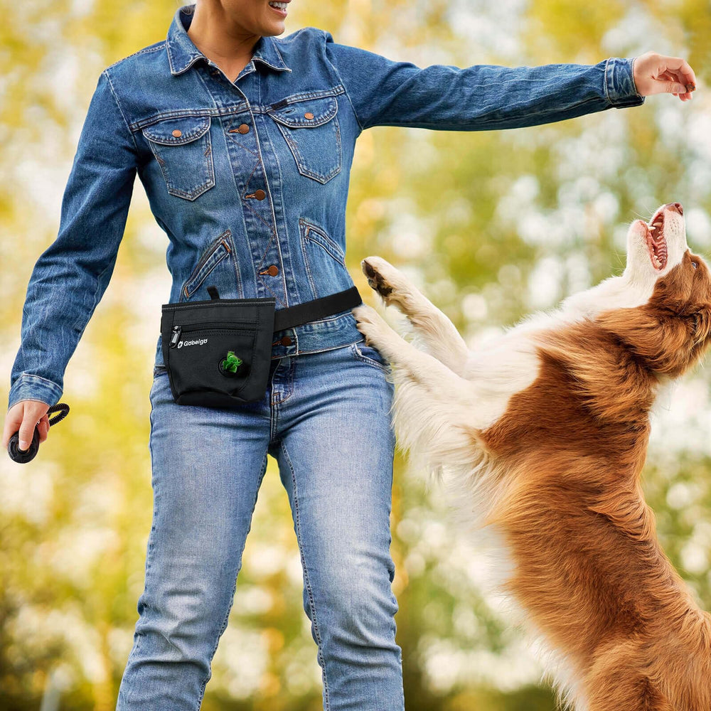 Gobeigo two-cup capacity fits daily walks with treats on hand.