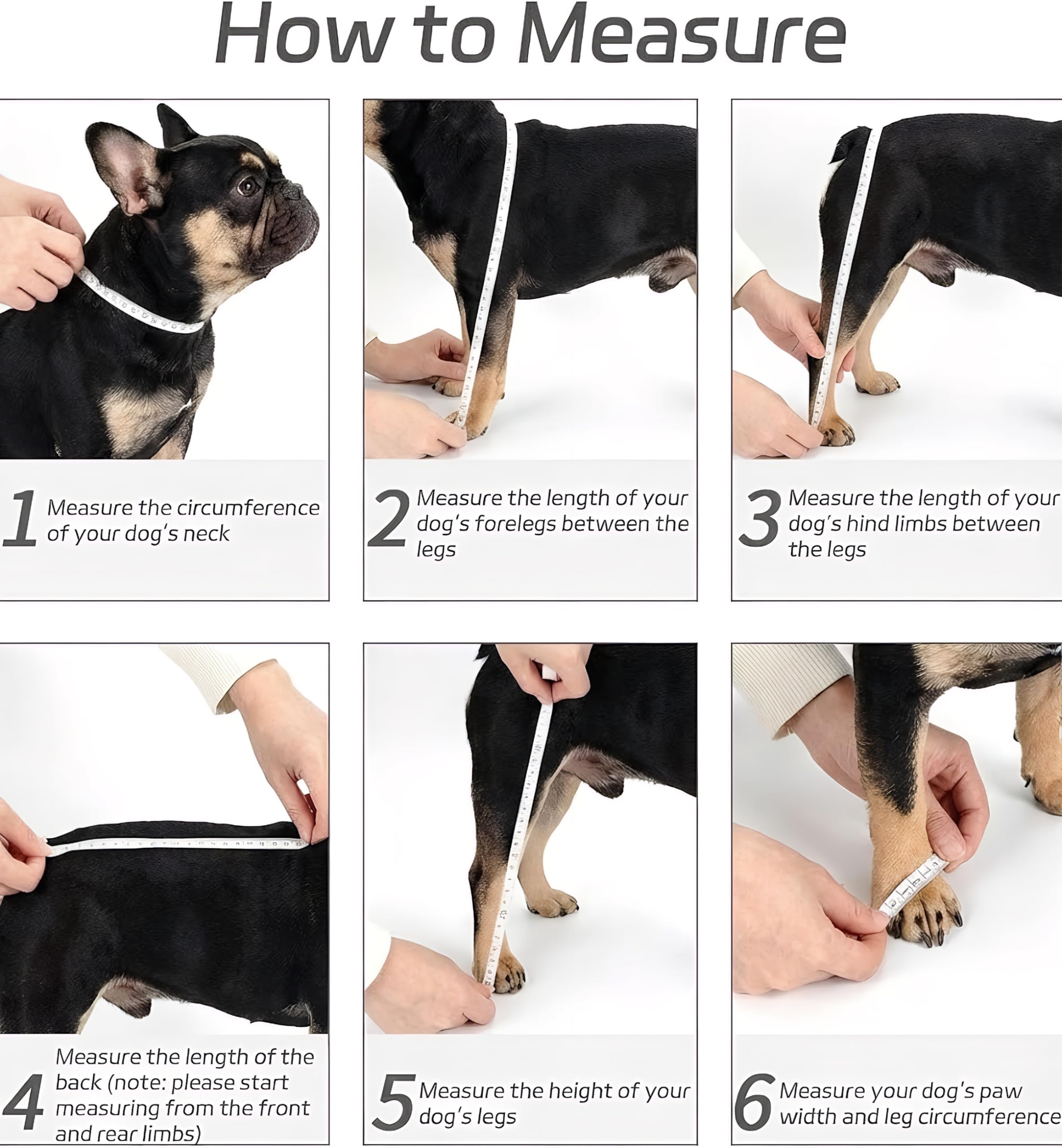 Gockeoz dog boots suspenders back strap detail showing secure fit.
