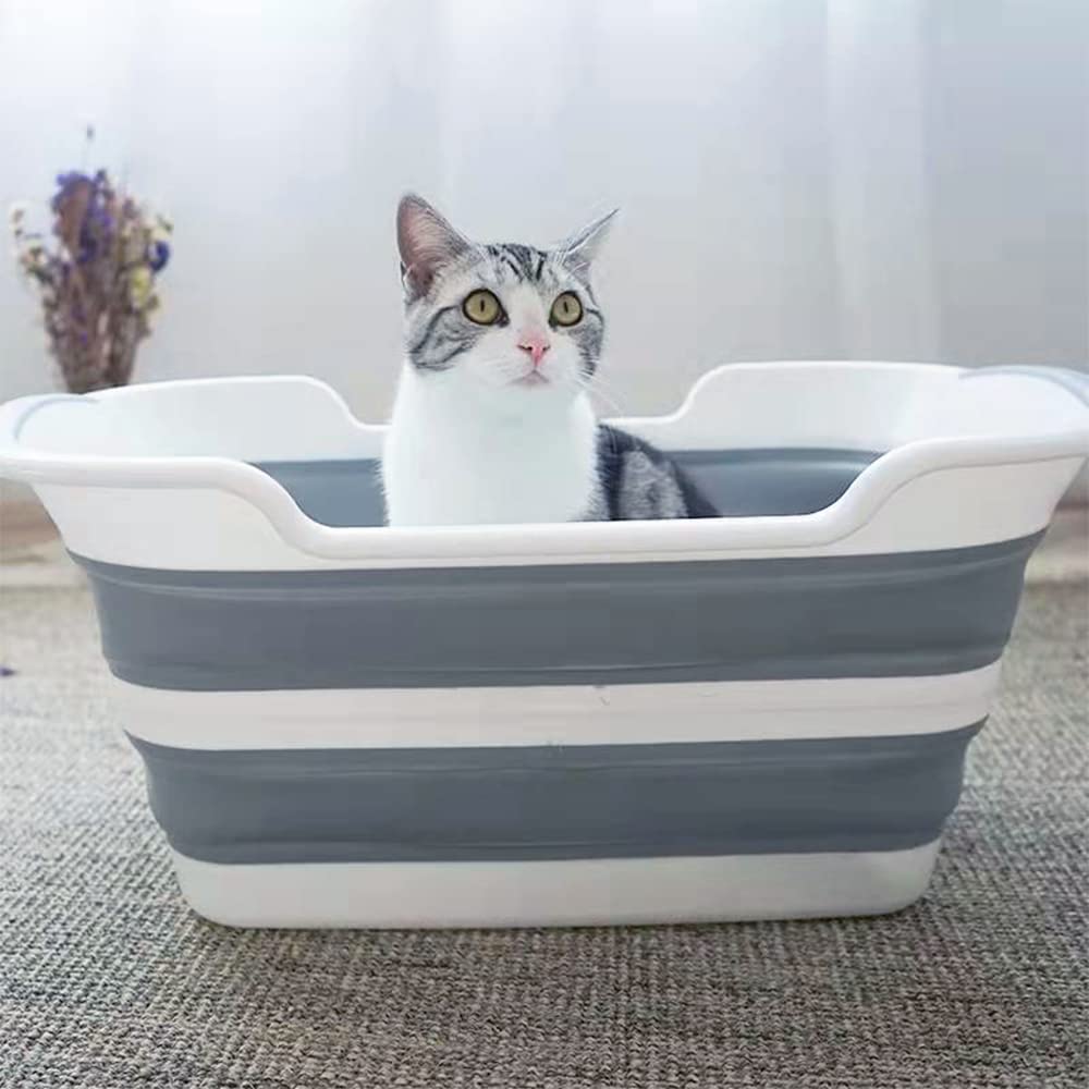 Goderewild lightweight design weighs under 3 lbs for easy transport.