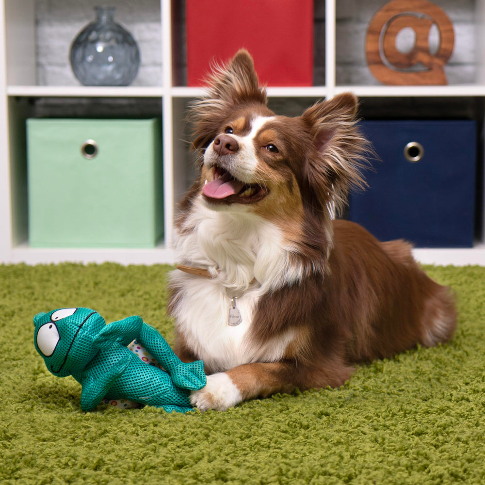 GoDog Amphibianz chameleon teal durable plush designed for chewing and tossing.