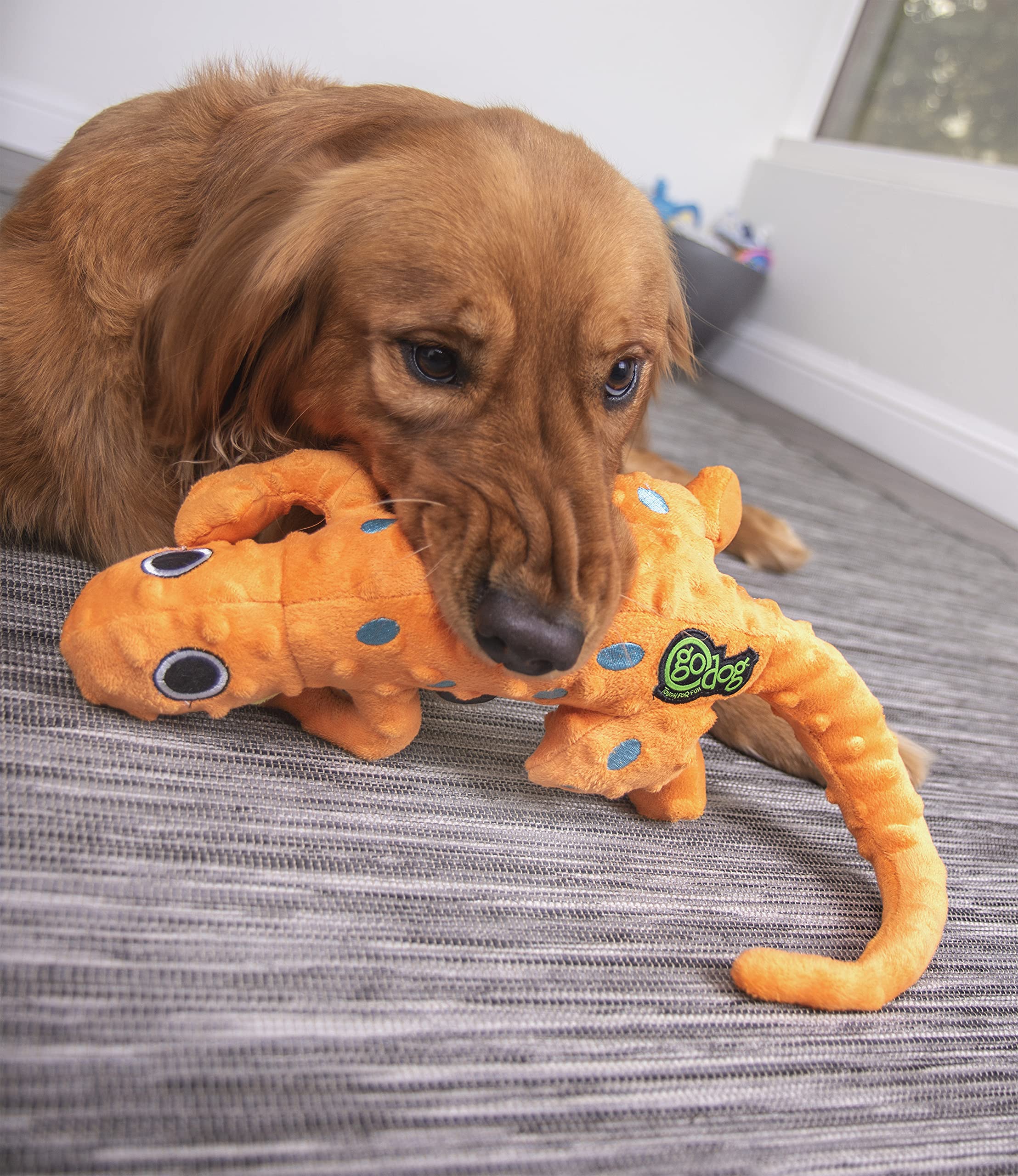 GoDog Amphibianz Gecko showing built-in squeaker for interactive play.