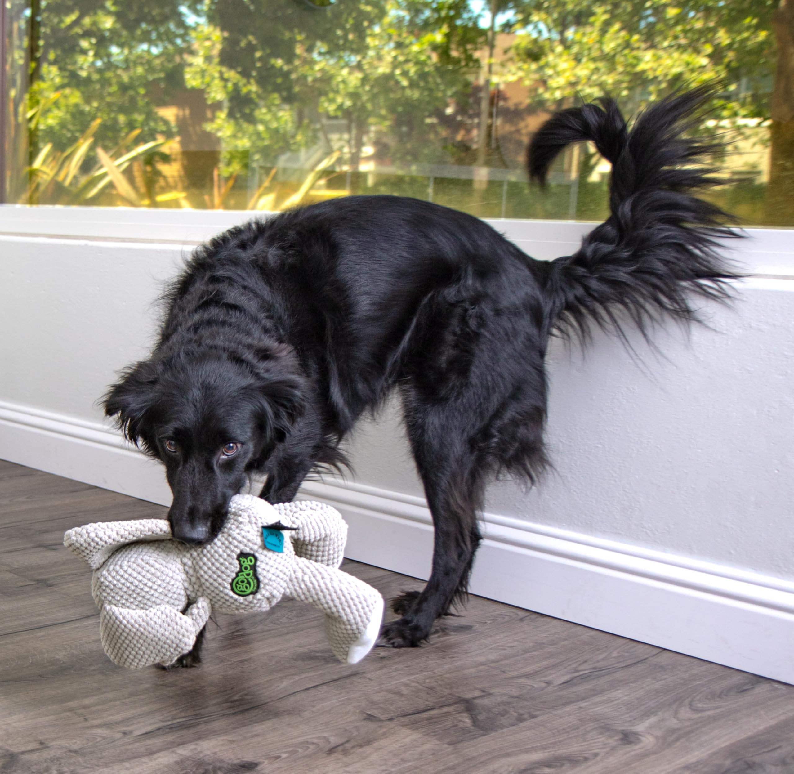goDog Checkers Elephant in a lively play session for active dogs.