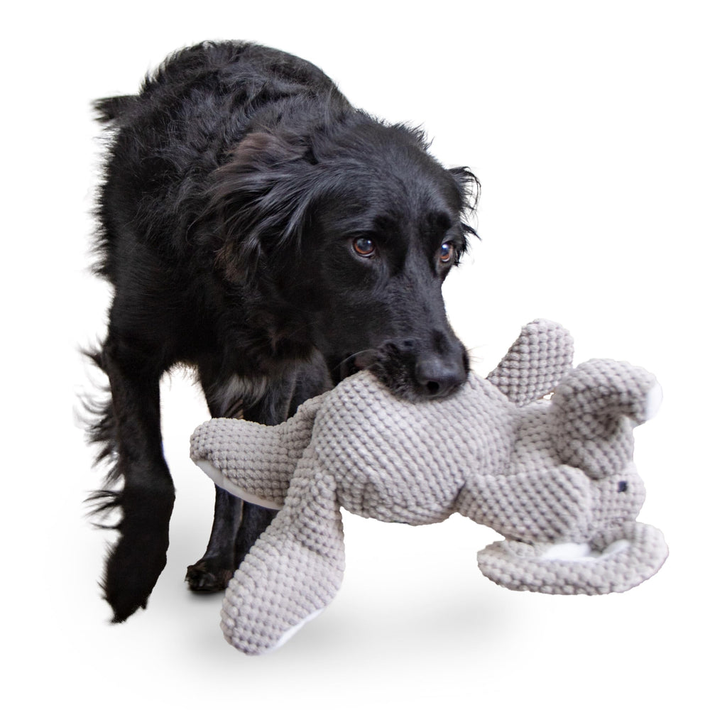 goDog Checkers Elephant packaging highlight quality and value.