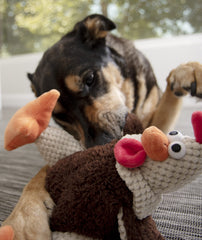 GoDog Checkers Fat Rooster includes crinkle mylar for multisensory engagement.