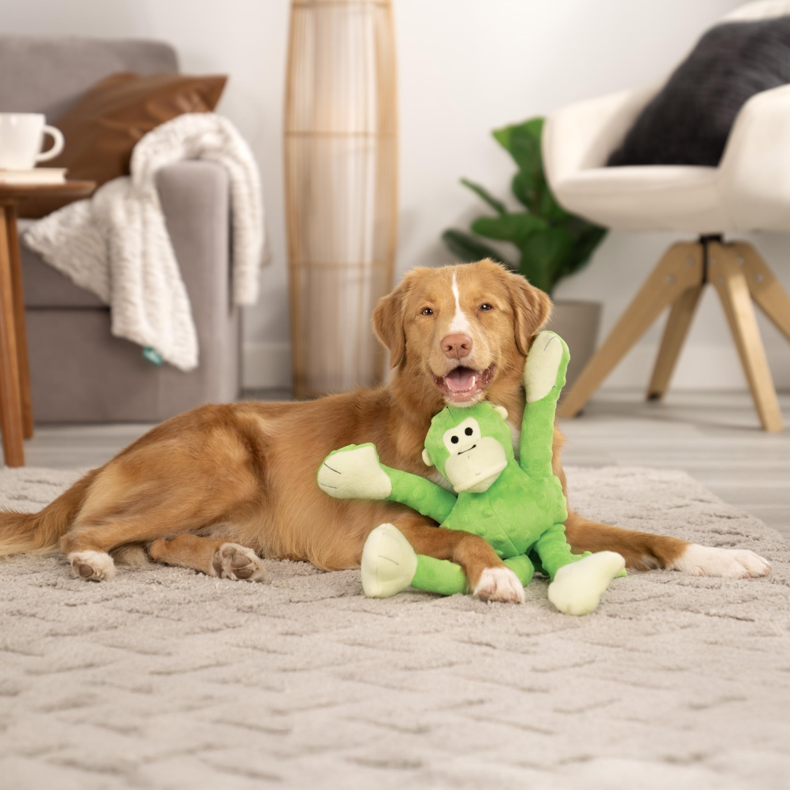 GoDog Crazy Tugs Monkeys squeaky toy action in a tug game