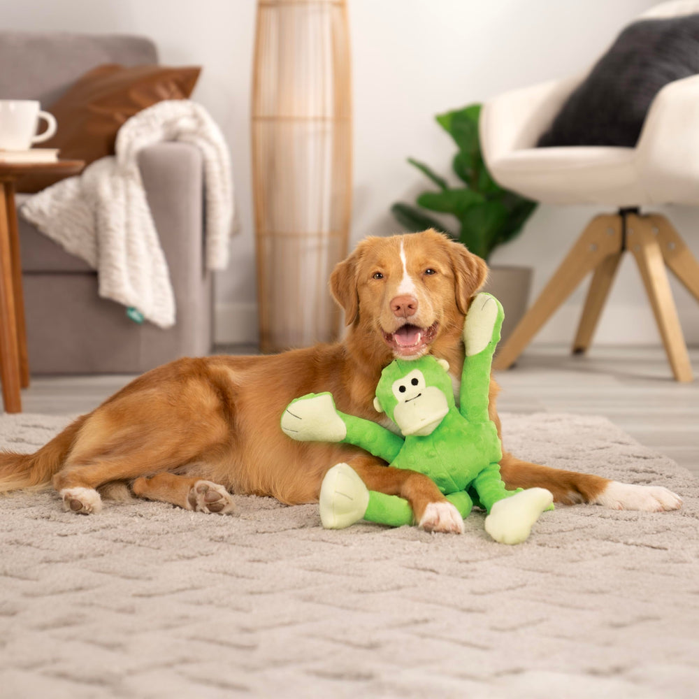 GoDog Crazy Tugs Monkeys squeaky toy action in a tug game