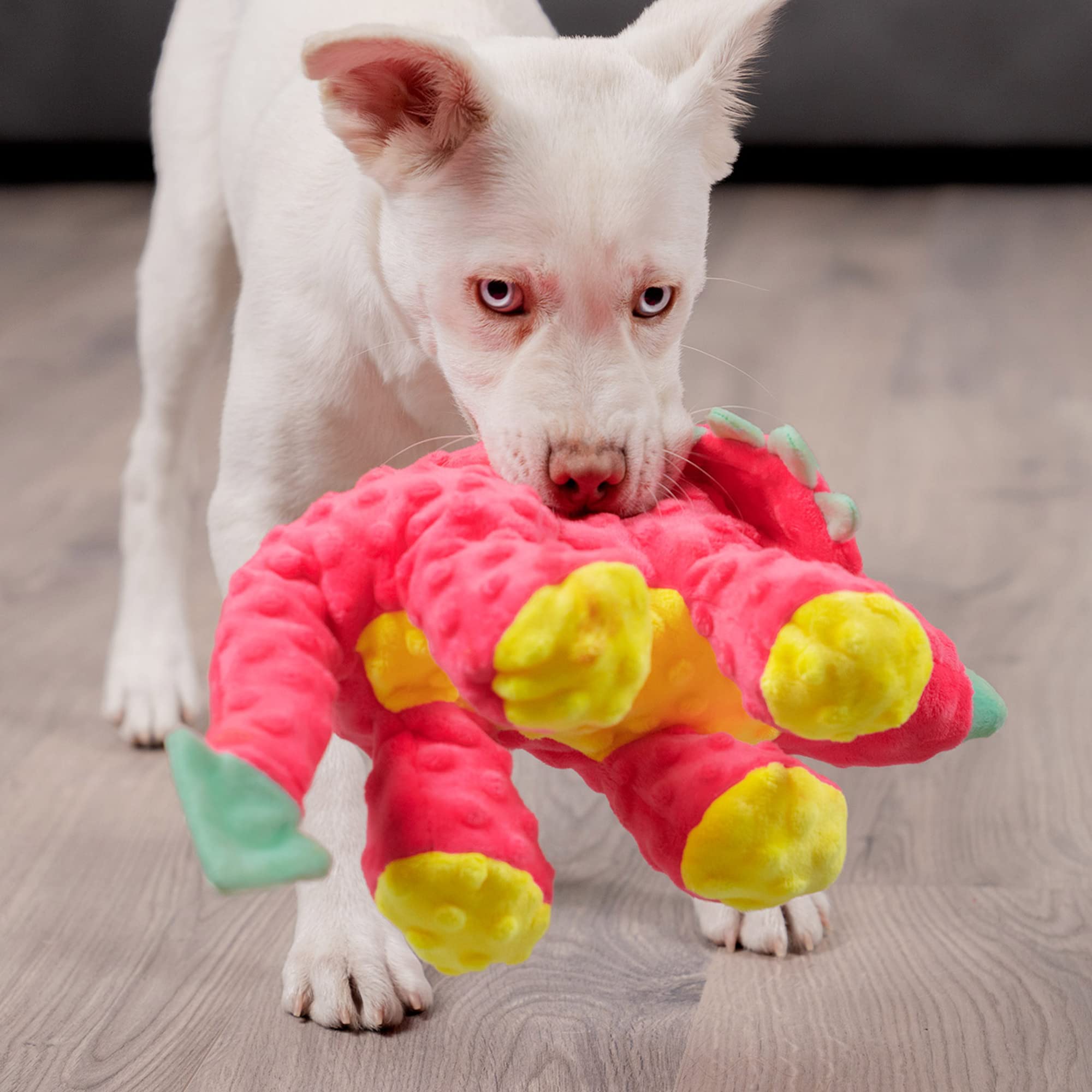 goDog Dinos Frills chew guard lining increases durability during chewing.
