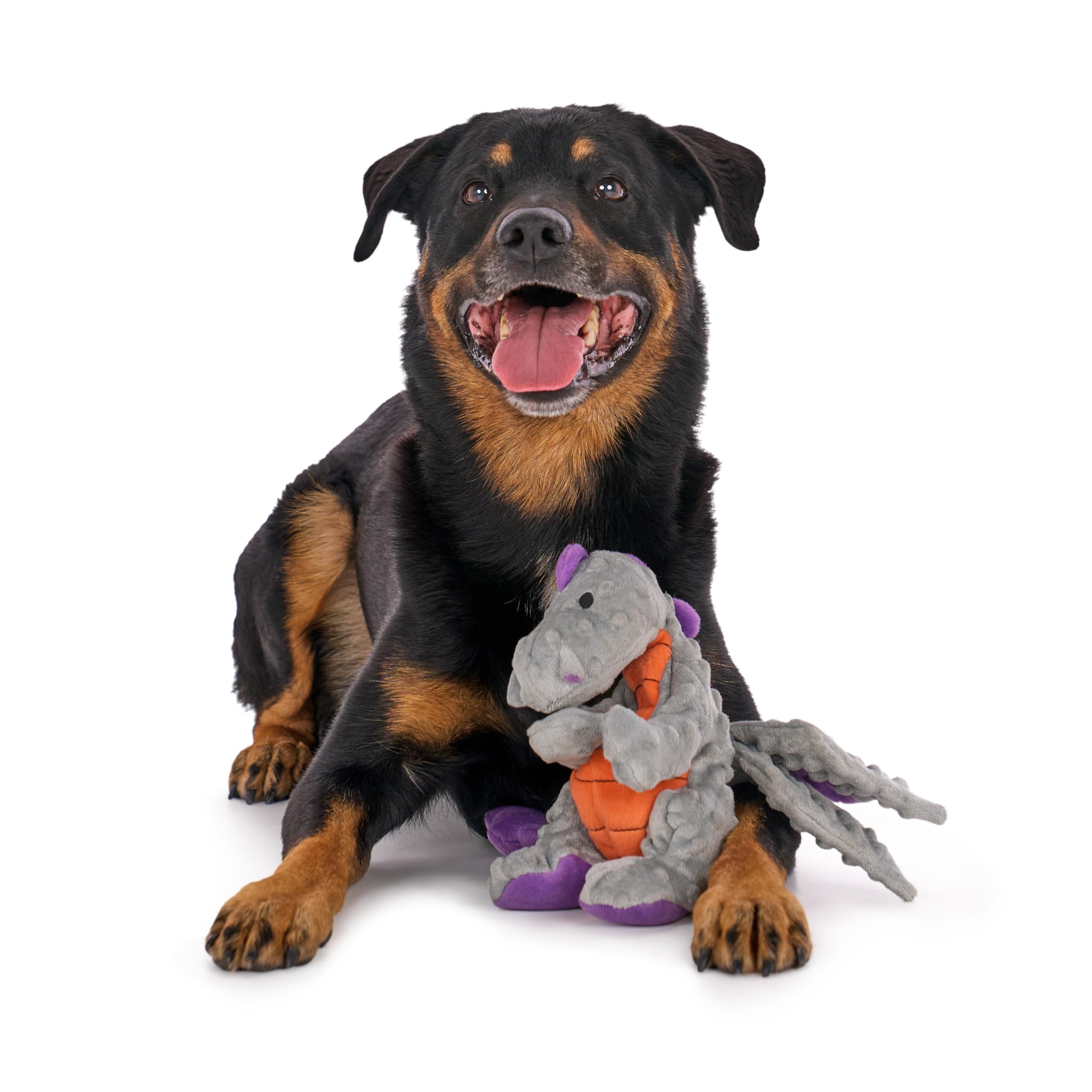 goDog Dragons bubble plush texture keeps dogs curious and engaged.