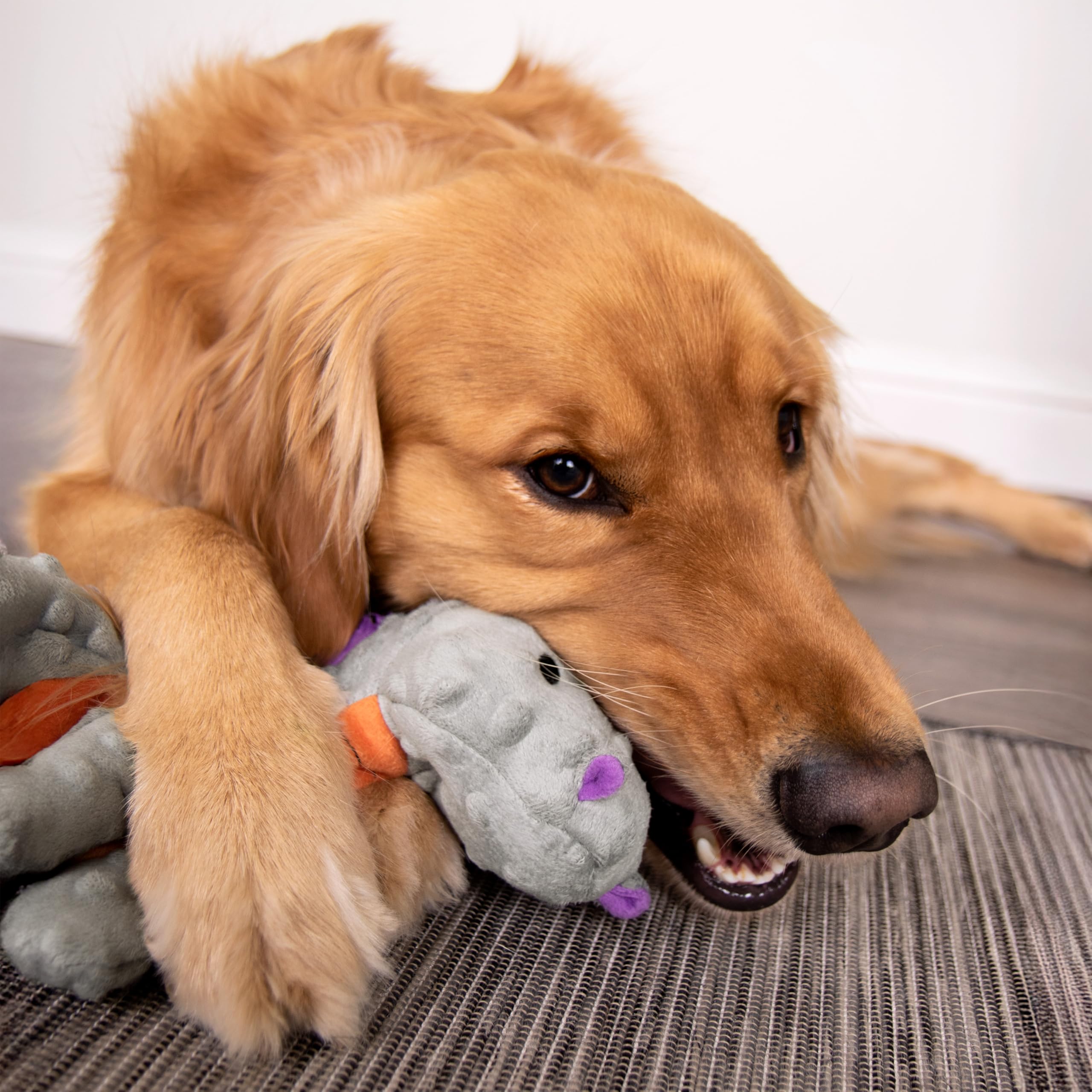 goDog Dragons minimal stuffing reduces mess while keeping cuddly fun.