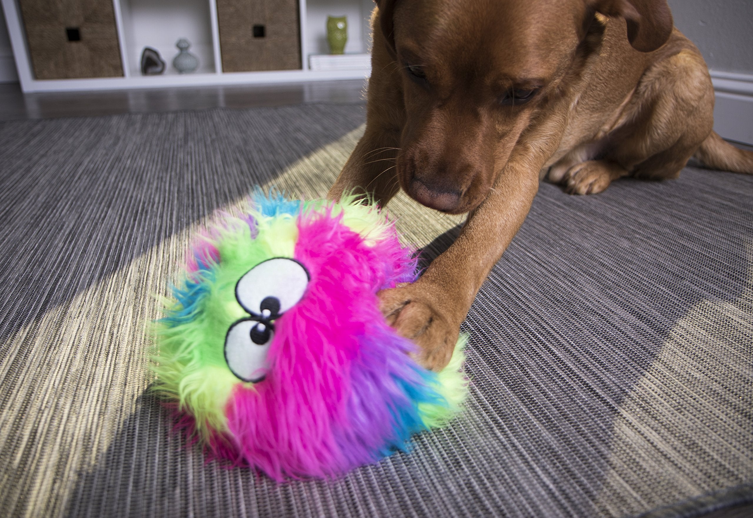 goDog Furballz enrichment with auditory stimulation for dogs