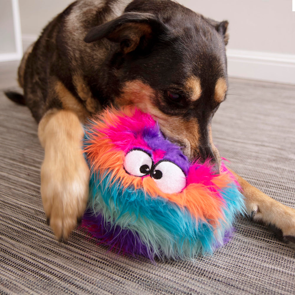 goDog Furballz googly eyes closeup showing playful appeal for dogs.