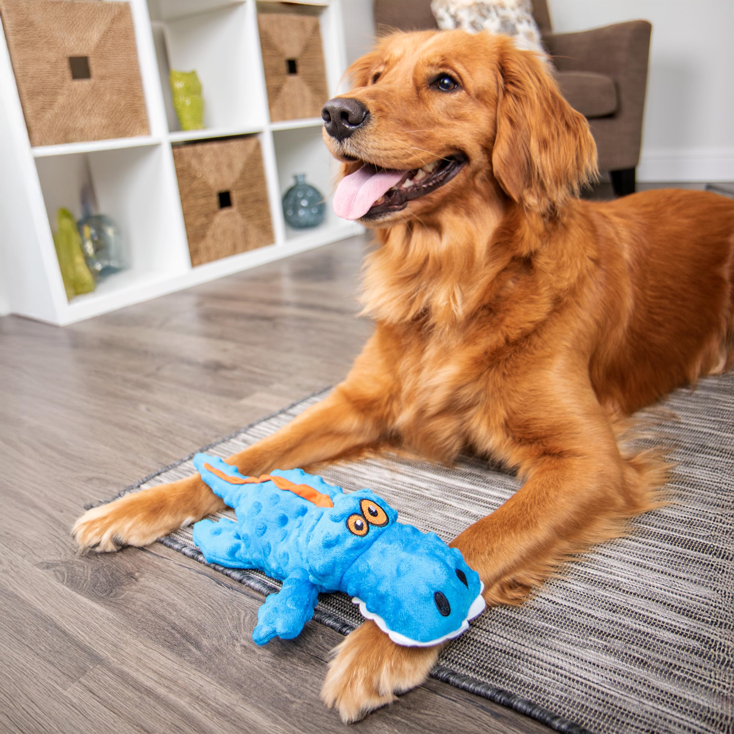goDog Gators blue toy supports active tug and fetch fun.