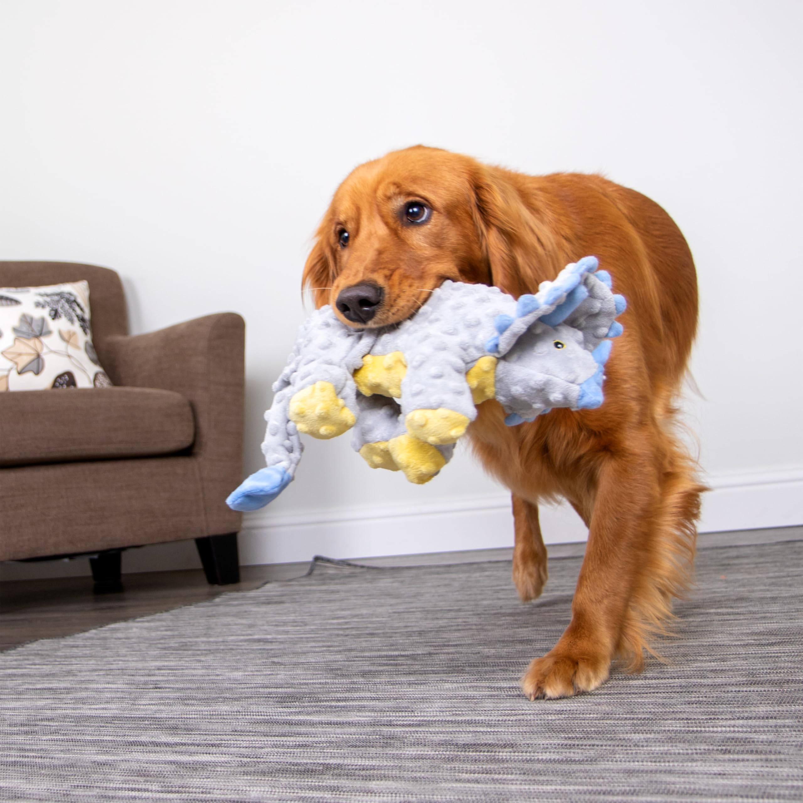 GoDog Safe play design promotes supervised, plush‑based fun.
