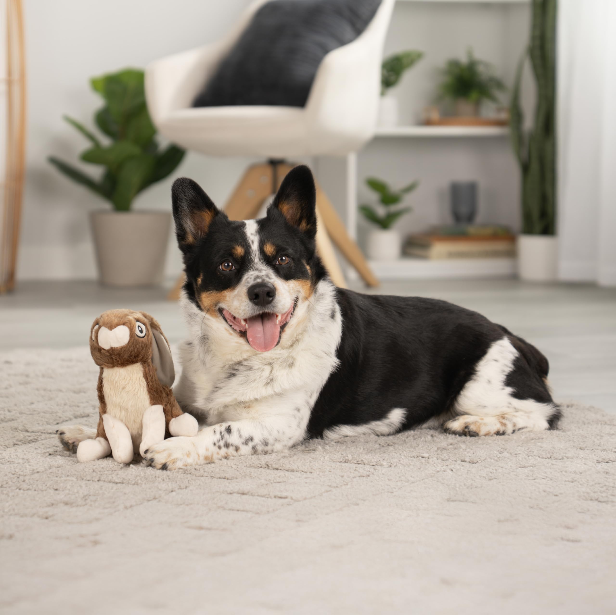 GoDog Wildlife Rabbit Squeaky Plush Toy full-bodied for shaking and tossing