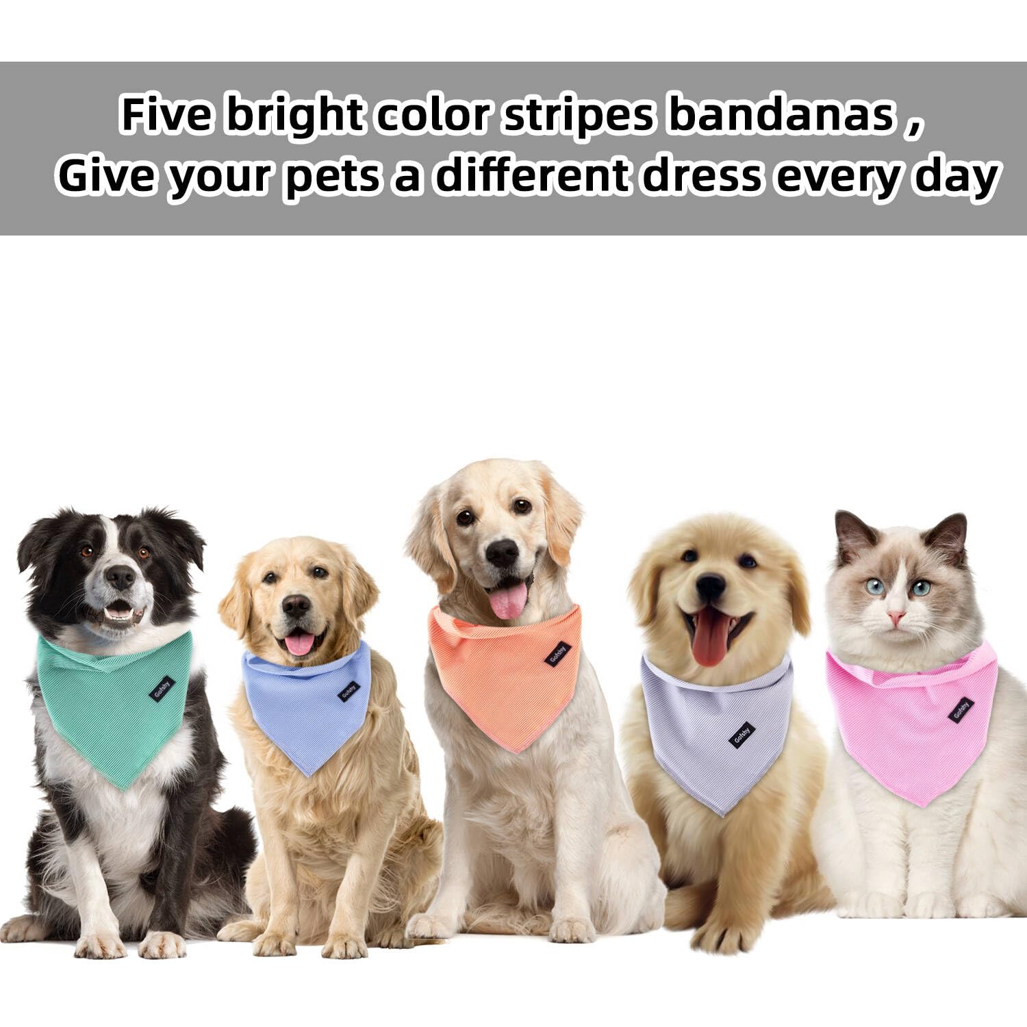 Gofshy blue pinstripe dog bandana, versatile large-dog accessory