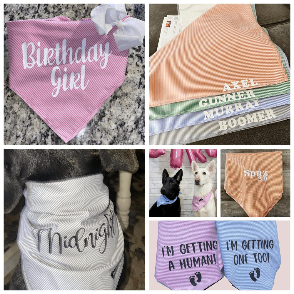Gofshy gray pinstripe dog bandana, neutral tone pairing with any collar