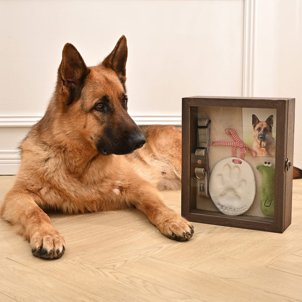 Gognlvn inner 4x6 slot fits pet memorial photo securely.