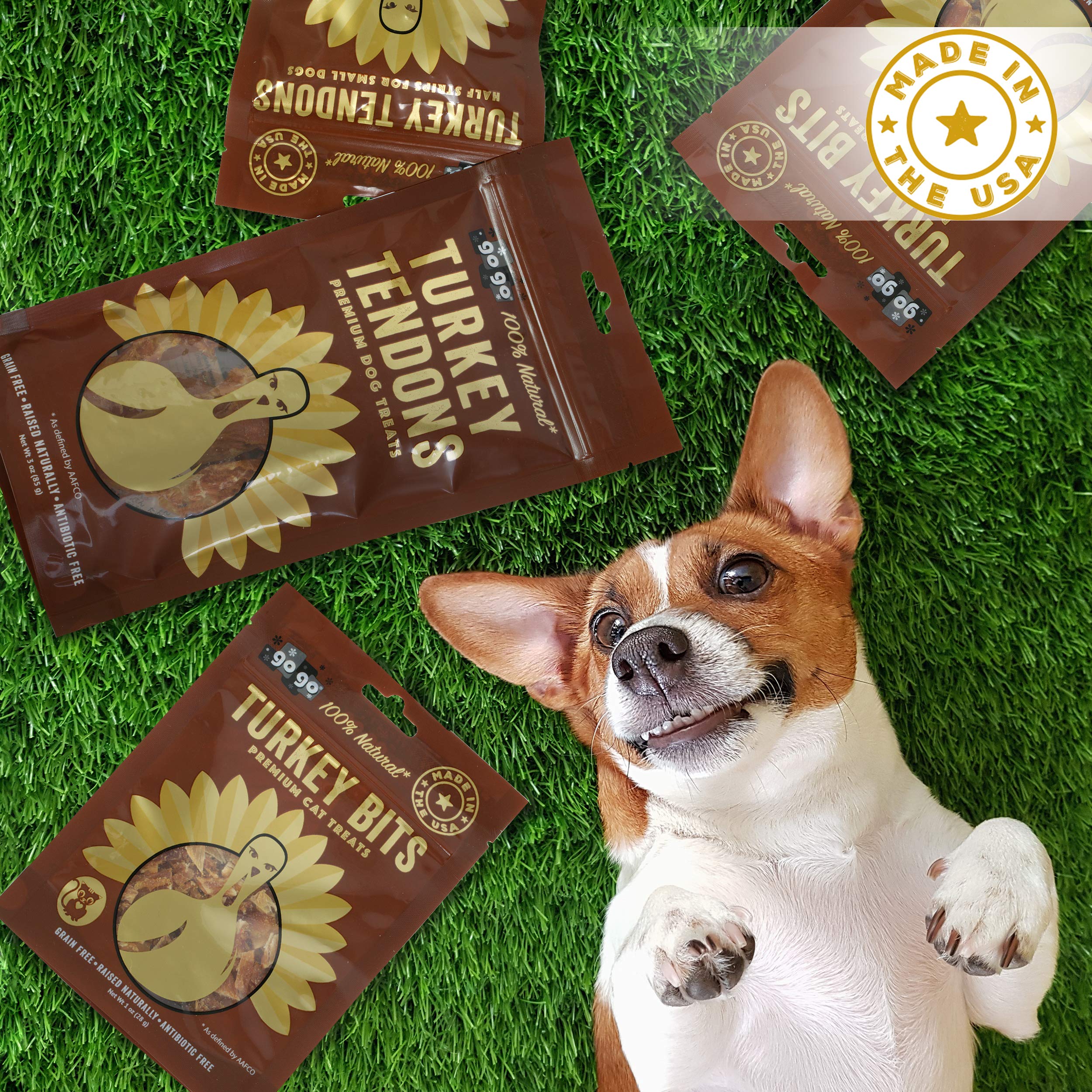 GOGO turkey tendon strips bag with a happy dog enjoying a chew