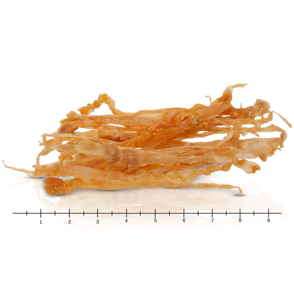 GOGO turkey tendon strips held in hand as a safe dog chew