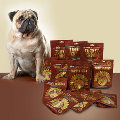 GOGO turkey tendon strips on a plate ready to serve as a treat