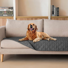 Gogobunny 3X Stronger Waterproof Pet Blanket on couch protects furniture and resists scratches.