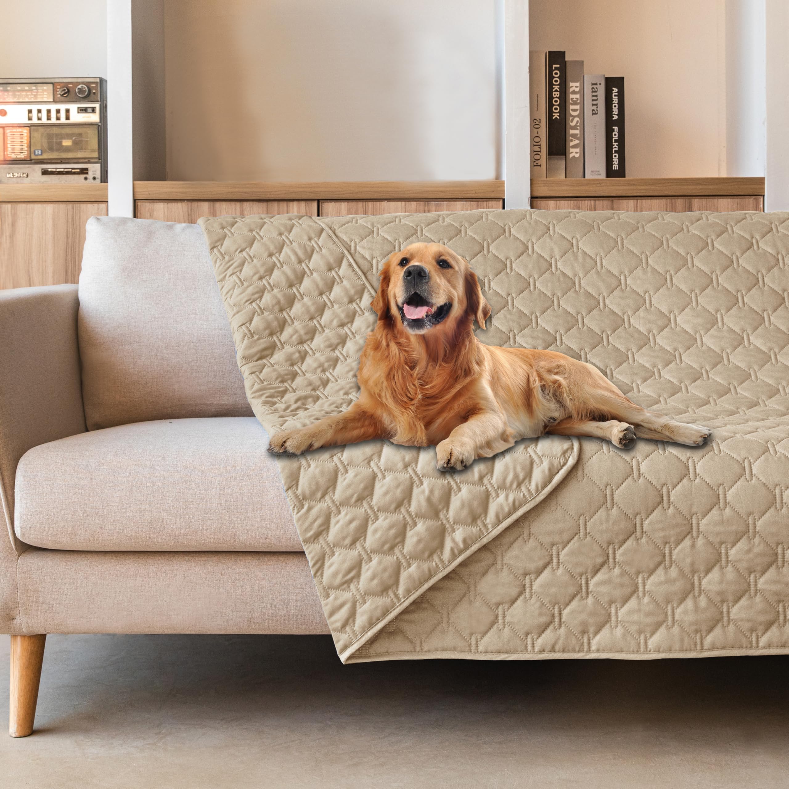 Gogobunny waterproof blanket on sofa protects furniture from claws and spills.