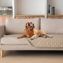 gogobunny 3X stronger waterproof pet blanket on sofa protects furniture from scratches and mess