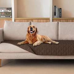 Gogobunny 3X waterproof pet blanket protects furniture from messy spills.