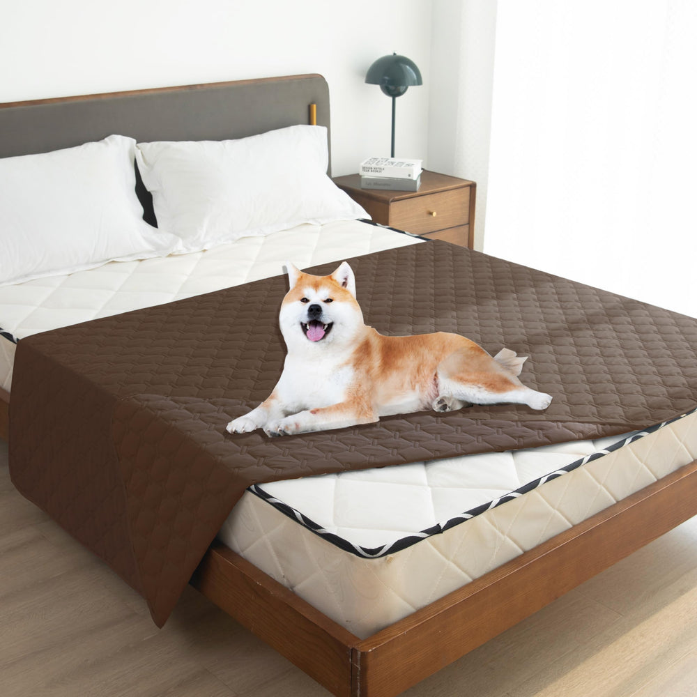 Gogobunny 52x82 inch blanket fits sofas and beds for full coverage.