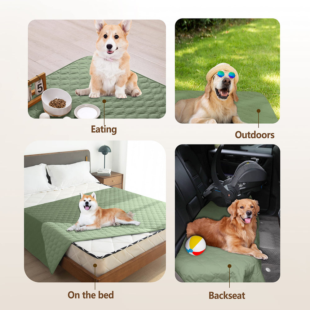 Gogobunny 82x82 inch reversible blanket ready for home protection