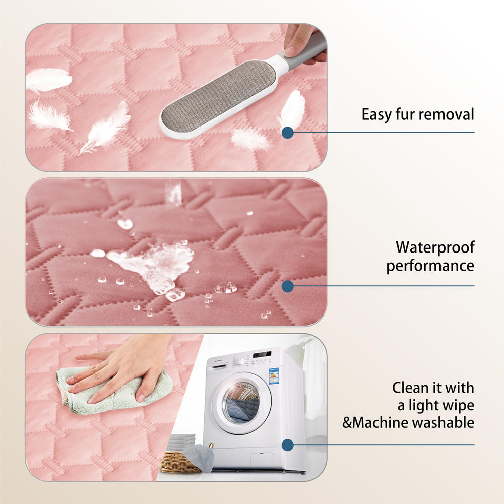 Gogobunny reduces chewing impact and protects furniture and fabrics