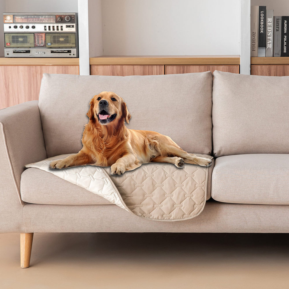 Gogobunny dog bed cover with waterproof double-layer protection for clean furniture.