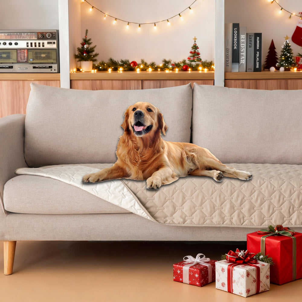 Gogobunny dog bed cover with waterproof double-sided design protects furniture.