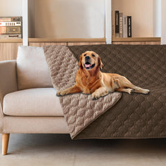 Gogobunny dog bed cover with a waterproof outer layer protects furniture from spills.