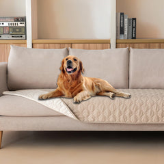 Gogobunny dog bed cover showing waterproof top layer protecting furniture