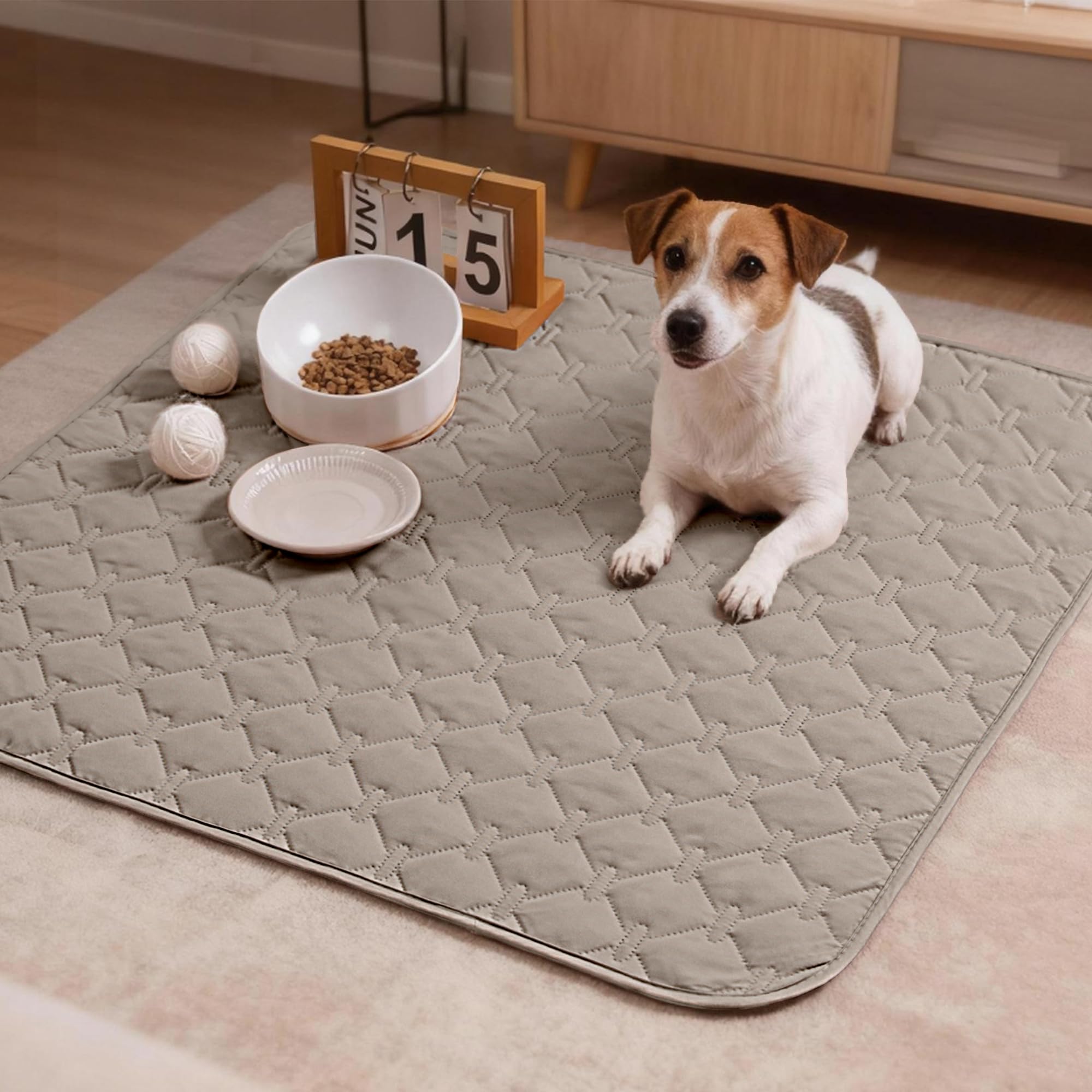 Ideal size for small to large dogs and indoor pets.