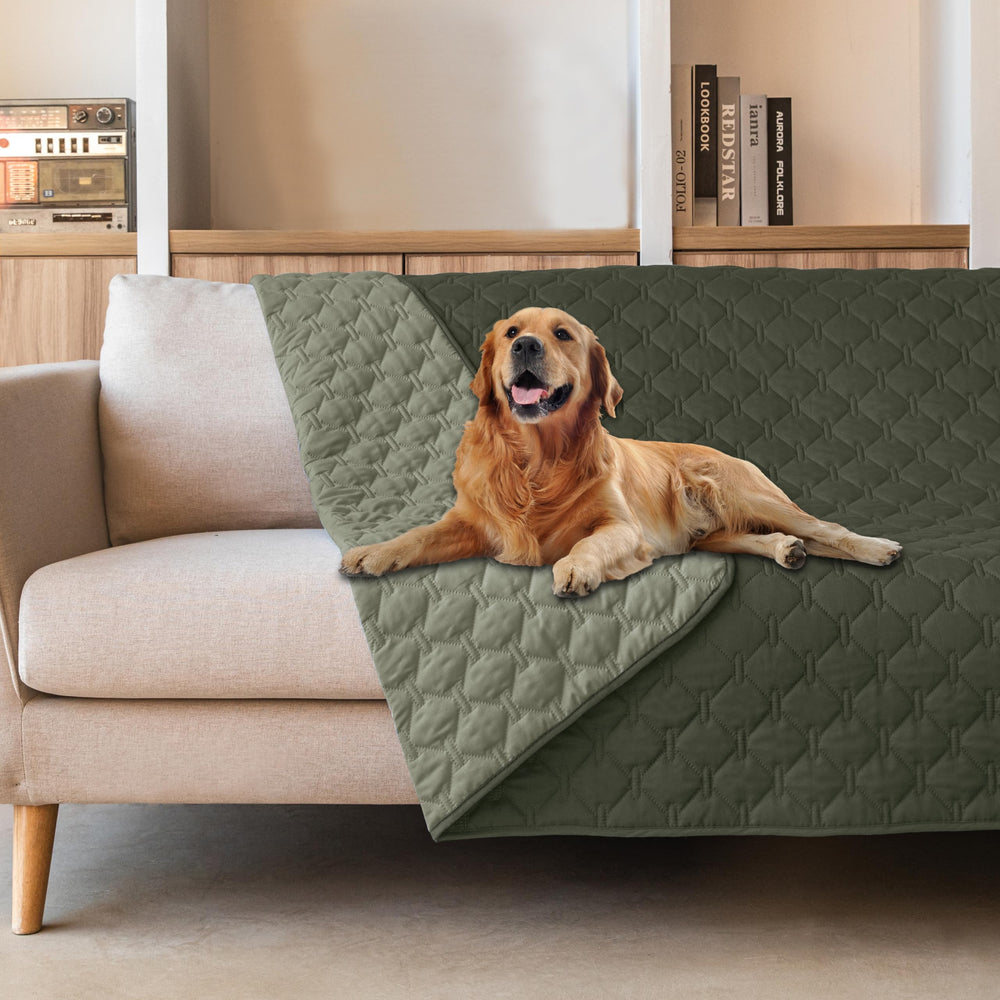 gogobunny dog blanket double-sided waterproof protects furniture during pet adventures
