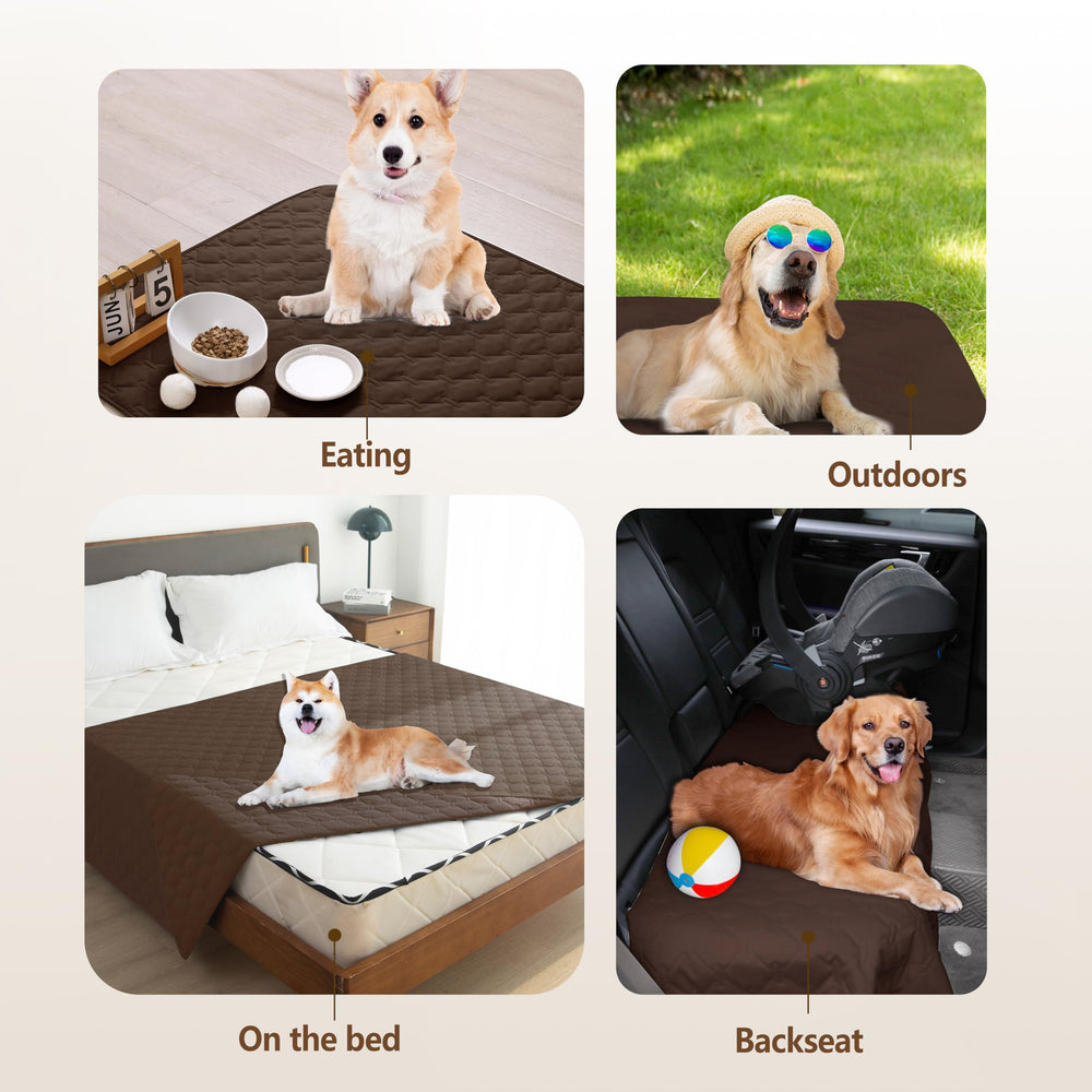 Gogobunny dog and cat blanket keeps furniture protected during pet time.